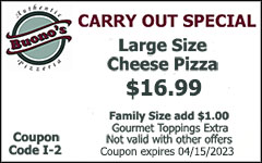 Carry Out Special Large Size Cheese Pizza